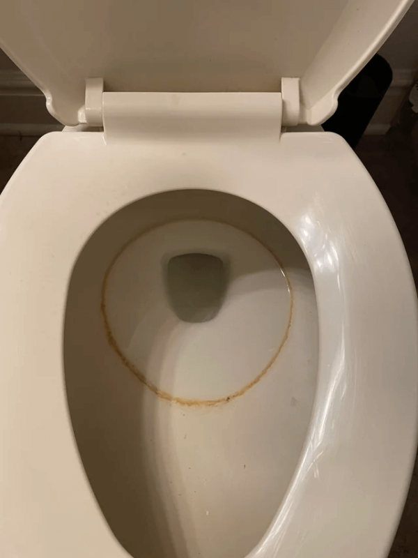 How to Remove Toilet Bowl Rings (2)