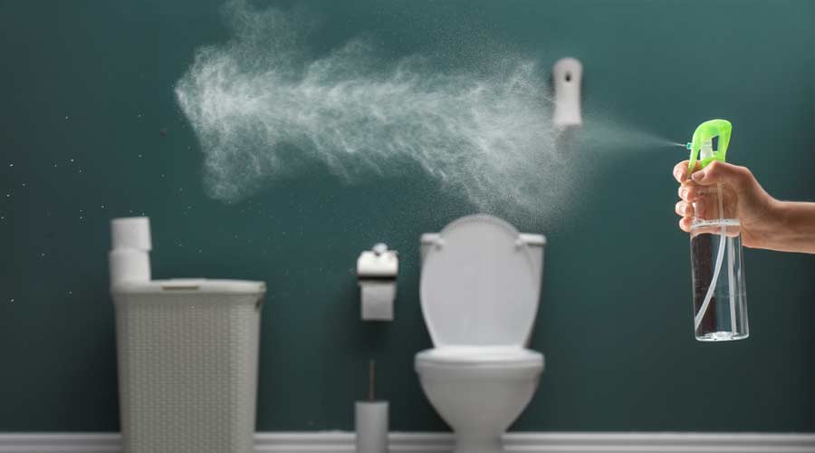 How to Make Bathroom Smell Good (2)