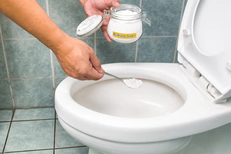 Bathroom Cleaning Checklist - Clean Toilet Bowl